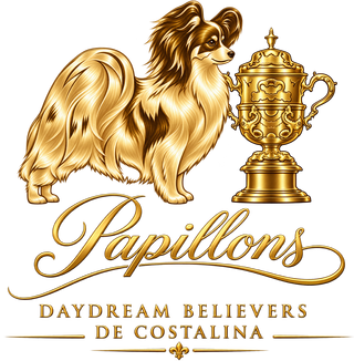 Daydream Believers & De Costalina