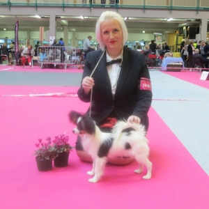 6 months, BOB puppy Orleans dogshow 2014