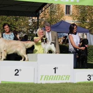 BIS junior treviso