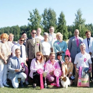 BIS Helsinki Summer 2013