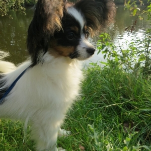 6 months old