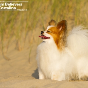 Iisa enjoying the sun at the beach