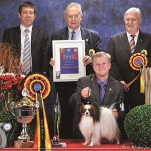 Pojke BIS Brussels Int. All Breed Show