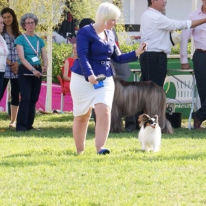 BIS Lisboa Int Dogshow 2013