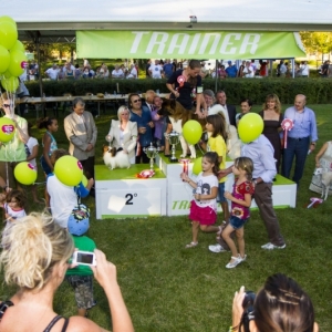 BIS TREVISO SHOW 2012