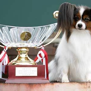 Noriko winning BIS monaco 