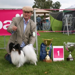 BISS Belgian club specialty 2011