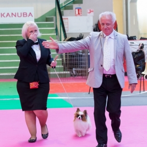 BIS Orléans Grand Prix Int.Dogshow 2014