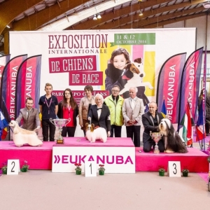 BIS Orléans Grand Prix Int.Dogshow 2014