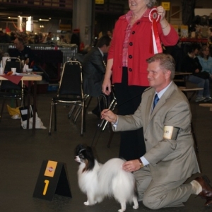 BOB and BIG Bleiswijk CACIb 2011