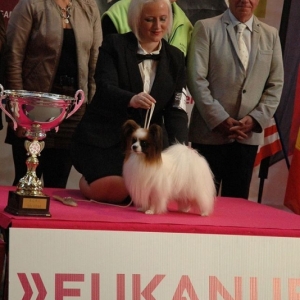 BIS Orléans Grand Prix Int.Dogshow 2014
