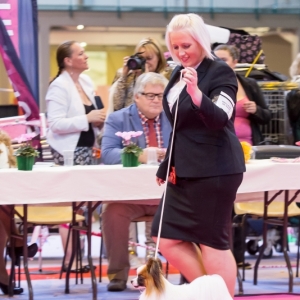 BIS Orléans Grand Prix Int.Dogshow 2014