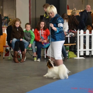 BOB Antwerp CACIB 2012
