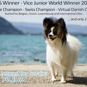 Aqua, 21 months old