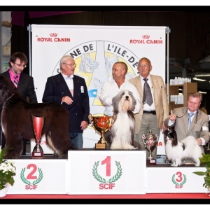 BIS-3  Pontoise Int Dogshow