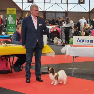 Perpignan, BOB, New International Champion