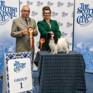Group winner in Scotland GIO