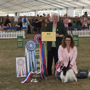 BIS Windsor Dogshow 2025 Gio