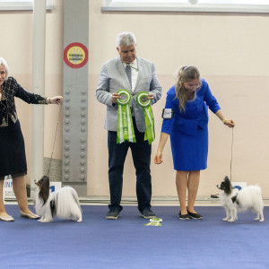 James BOB at Slovenian Winner show preceding EDS 2024