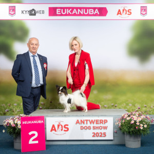 RBIS Junior Frangipane Antwerp dogshow 2025