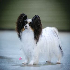 Gio photoshoot