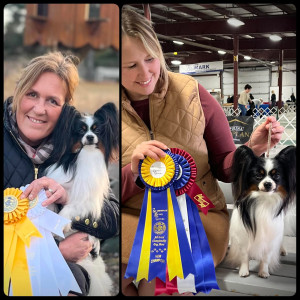 Zillion Canadian Grand Champion