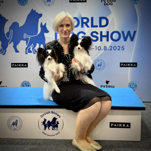 reserves Toy specialty WDS Helsinki 2025