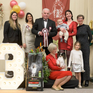 BIS3 Genk CAC 2025 for Frangipane