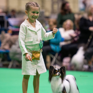 Rio Crufts 2026 with Rosa