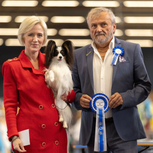 BOB en RBIG Flanders dogshow Gent for Hooligan 2026