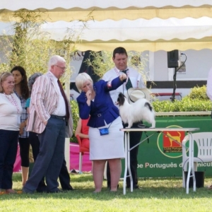 BIS Lisboa Int Dogshow 2013