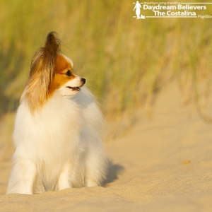 Iisa playing at the beach