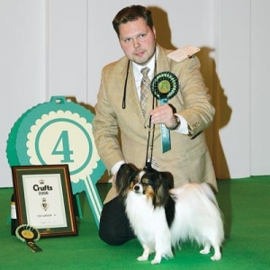 Noriko taking BIG4 Crufts with handler and breeder Vesa