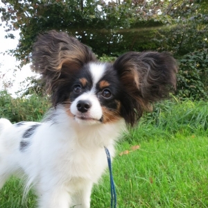 6 months old