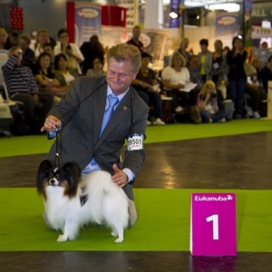 WDS Paris 2011