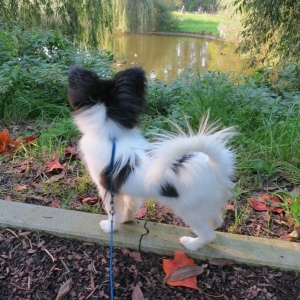6 months old