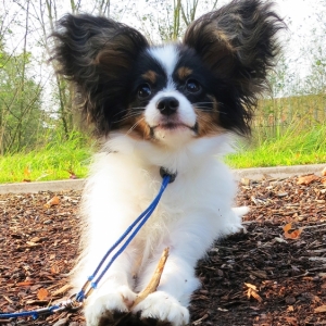 6 months old