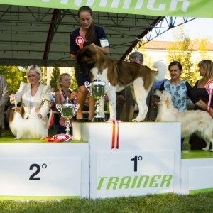 RBIS TREVISO