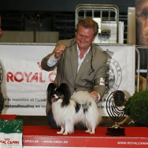 BIS3 Lommel 2011