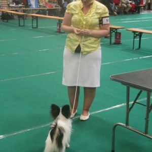 BOB junior Maastricht