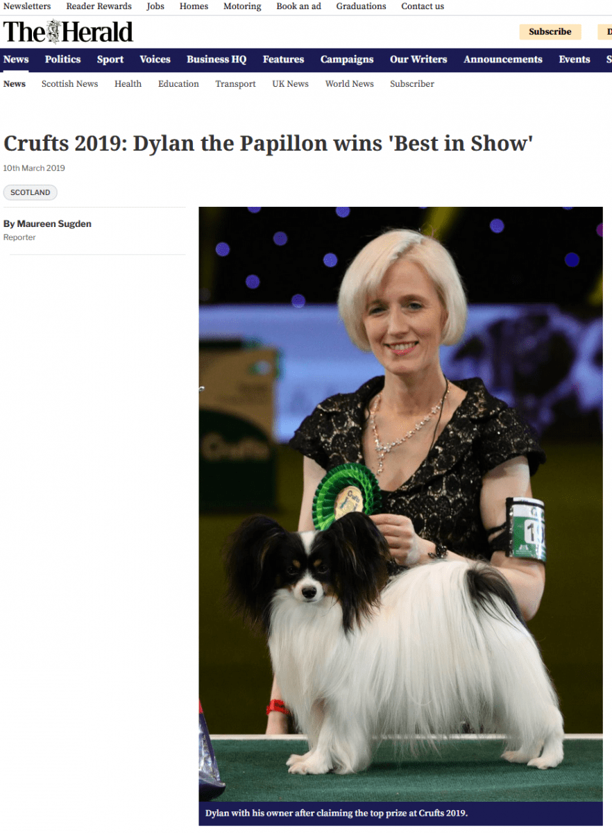 Crufts 2019: Dylan the papillon wins Best in Show